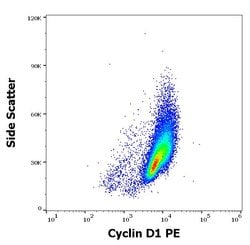 Invitrogen Cyclin D1 Monoclonal Antibody (DCS-6), PE 100 &mu;g; PE:Antibodies,