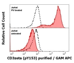 Invitrogen Phospho-CD247 (CD3 zeta) (Tyr153) Monoclonal Antibody (EM-17) 100 &mu;g | Buy Online | Invitrogen&trade; | Fisher Scientific