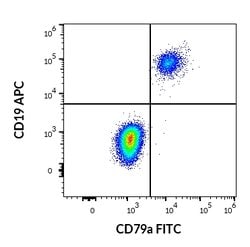 Invitrogen CD79a Monoclonal Antibody (HM57), FITC 100 Tests; FITC:Antibodies,