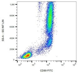 Invitrogen CD89 Monoclonal Antibody (A59), FITC 100 Tests; FITC:Antibodies,