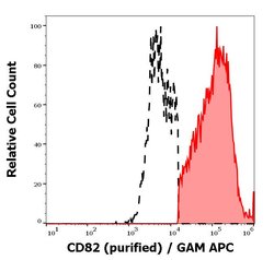 Invitrogen CD82 Monoclonal Antibody (C33) 100 &mu;g; Unconjugated:Antibodies,