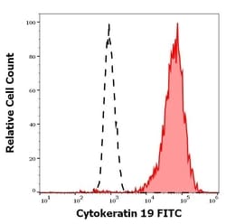 Cytokeratin 19 Monoclonal Antibody (A53-B/A2), FITC:Antibodies, Monoclonal