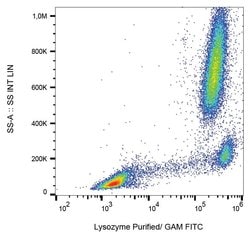 Invitrogen Lysozyme Monoclonal Antibody (LZ598-10G9) 100 &mu;g; Unconjugated:Antibodies,