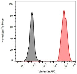 Invitrogen Vimentin Monoclonal Antibody (VI-RE/1), APC 100 &mu;g; APC:Antibodies,