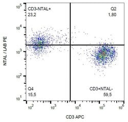 NTAL Monoclonal Antibody (NAP-07), PE:Antibodies, Monoclonal