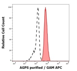 Invitrogen AGPS Monoclonal Antibody (AGPS-03) 100 &mu;g; Unconjugated:Antibodies,
