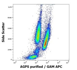Invitrogen AGPS Monoclonal Antibody (AGPS-03) 100 &mu;g; Unconjugated:Antibodies,