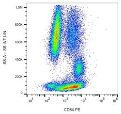 Invitrogen CD84 Monoclonal Antibody (CD84.1.21), PE 100 Tests; PE:Antibodies,