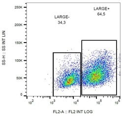 Invitrogen LARGE Monoclonal Antibody (LARGE-02), PE 100 &mu;g; PE:Antibodies,