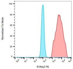 RRAS2 Monoclonal Antibody (EM-50), PE:Antibodies, Monoclonal