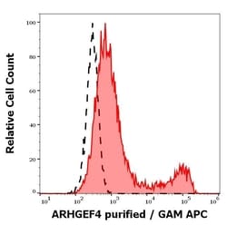 Invitrogen ARHGEF4 Monoclonal Antibody (ARHGEF-08) 100 &mu;g; Unconjugated:Antibodies,