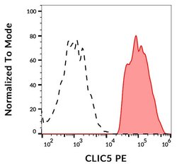 Invitrogen CLIC5 Monoclonal Antibody (CLIC5-02), PE 100 &mu;g; PE:Antibodies,