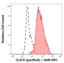Invitrogen CLIC5 Monoclonal Antibody (CLIC5-02) 100 &mu;g; Unconjugated:Antibodies,