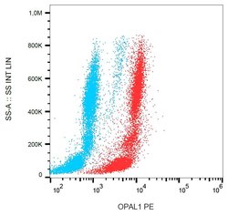 Invitrogen WBP1L Monoclonal Antibody (OPAL1-01), PE 100 &mu;g; PE:Antibodies,