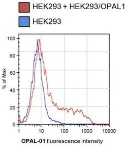 Invitrogen WBP1L Monoclonal Antibody (OPAL1-01) 100 &mu;g; Unconjugated:Antibodies,