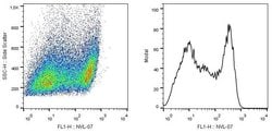 SCIMP Monoclonal Antibody (NVL-07):Antibodies, Monoclonal