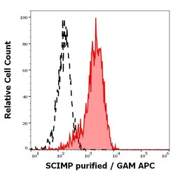 Invitrogen SCIMP Monoclonal Antibody (NVL-07) 100 &mu;g | Buy Online | Invitrogen&trade; | Fisher Scientific