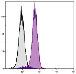 Invitrogen Bcl-xL Monoclonal Antibody (7B2.5), PE 1 mL; PE:Antibodies,