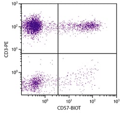 Invitrogen CD57 Monoclonal Antibody (NK-1), Biotin 1 mL; Biotin:Antibodies,