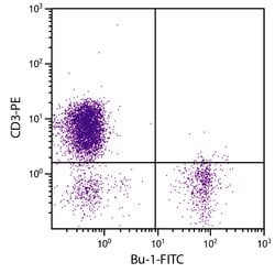Invitrogen Bu-1 Monoclonal Antibody (AV20), FITC 1 mL; FITC:Antibodies,