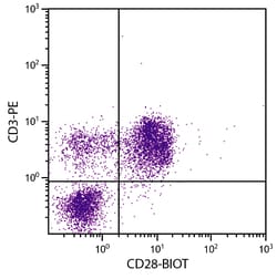 Invitrogen CD28 Monoclonal Antibody (AV7), Biotin 1 mL; Biotin:Antibodies,