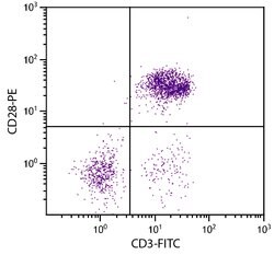 Invitrogen CD28 Monoclonal Antibody (AV7), PE 1 mL; PE:Antibodies, Monoclonal