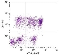 Invitrogen CD8 alpha Monoclonal Antibody (76-2-11), Biotin 1 mL; Biotin:Antibodies,