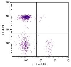 Invitrogen CD8 alpha Monoclonal Antibody (CT-8), FITC 1 mL; FITC:Antibodies,
