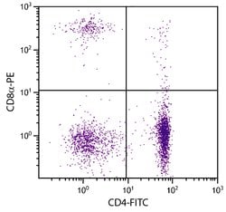 Invitrogen CD8 alpha Monoclonal Antibody (CT-8), PE 1 mL; PE:Antibodies,