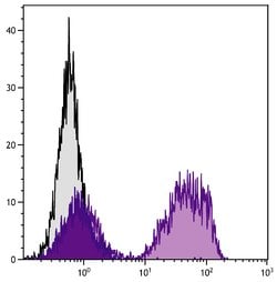 Invitrogen CD5 Monoclonal Antibody (f43) 1 mL; Unconjugated:Antibodies,