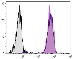 Invitrogen MHC Class I Monoclonal Antibody (F21-2), FITC 1 mL | Buy Online | Invitrogen&trade; | Fisher Scientific