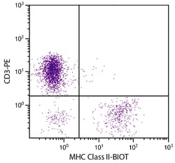 Invitrogen MHC Class II Monoclonal Antibody (2G11), Biotin 1 mL; Biotin:Antibodies,