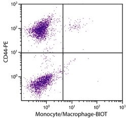 Invitrogen Macrophages/Monocytes Monoclonal Antibody (KUL01), Biotin 1