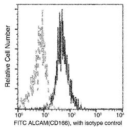 Invitrogen CD166 Recombinant Rabbit Monoclonal Antibody (018) 100 &mu;L;