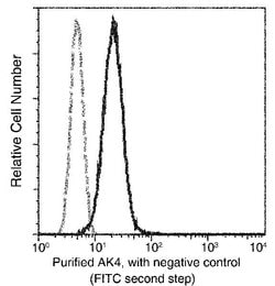 Invitrogen Adenylate Kinase 4 Monoclonal Antibody (09) 100 &mu;L; Unconjugated:Antibodies,
