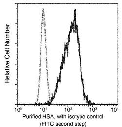 Invitrogen Human Serum Albumin Recombinant Rabbit Monoclonal Antibody (101)