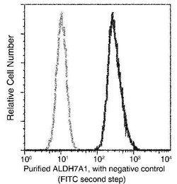 Invitrogen ALDH7A1 Recombinant Rabbit Monoclonal Antibody (101) 100 &mu;L;