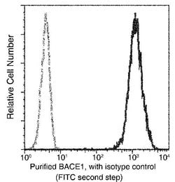 Invitrogen BACE1 Recombinant Rabbit Monoclonal Antibody (027) 100 &mu;L;