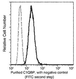 Invitrogen C1QBP Monoclonal Antibody (09) 100 &mu;L; Unconjugated:Antibodies,
