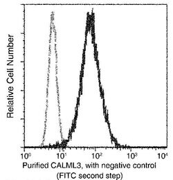 CALML3 Monoclonal Antibody (3), Invitrogen 100 &mu;L | Buy Online | Invitrogen | Fisher Scientific