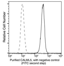 Invitrogen CALML5 Recombinant Rabbit Monoclonal Antibody (158) 100 &mu;L;