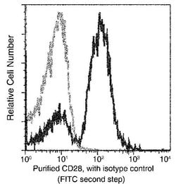 Invitrogen CD28 Recombinant Rabbit Monoclonal Antibody (007) 100 &mu;L;
