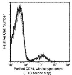 Invitrogen CD74 Monoclonal Antibody (01) 100 &mu;L; Unconjugated:Antibodies,