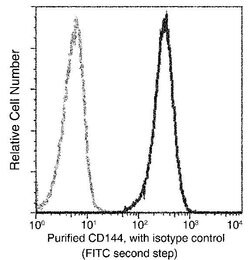 Invitrogen VE-cadherin Recombinant Rabbit Monoclonal Antibody (048) 100 &mu;L | Buy Online | Invitrogen&trade; | Fisher Scientific