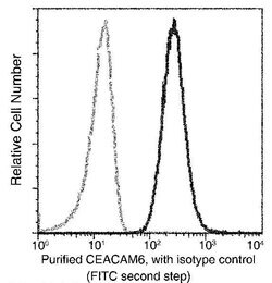 CEACAM6 Recombinant Rabbit Monoclonal Antibody (408), Invitrogen 100 &mu;L;
