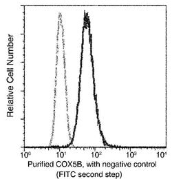 Invitrogen COX5B Recombinant Rabbit Monoclonal Antibody (031) 100 &mu;L;