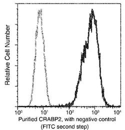 Invitrogen CRABP2 Recombinant Rabbit Monoclonal Antibody (004) 100 &mu;L;