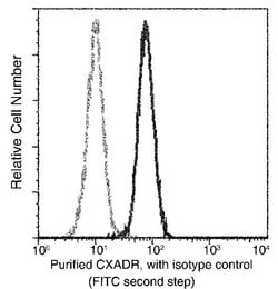 Invitrogen CAR Recombinant Rabbit Monoclonal Antibody (271) 100 &mu;L;
