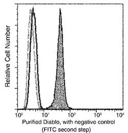 DIABLO Recombinant Rabbit Monoclonal Antibody (006):Antibodies, Recombinant