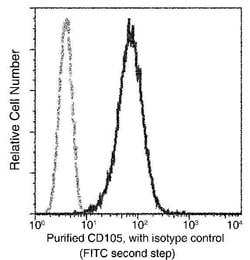 Invitrogen CD105 Recombinant Rabbit Monoclonal Antibody (103) 100 &mu;L;